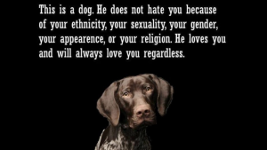 Your Dog Loves You